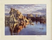 Photography by Chris Whitney