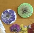 Buttons with dried flower designs.