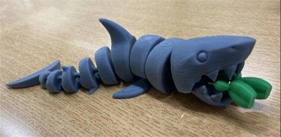 3d printing of a shark