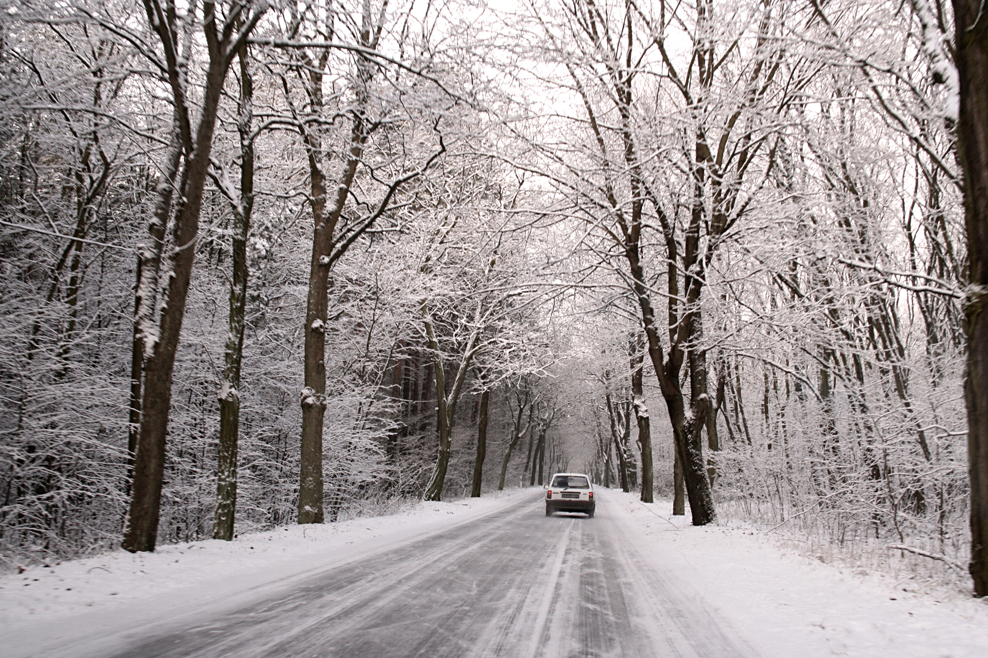 Snowy Road Picture 
