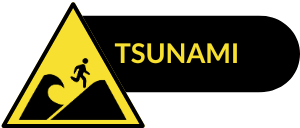 Tsunami
