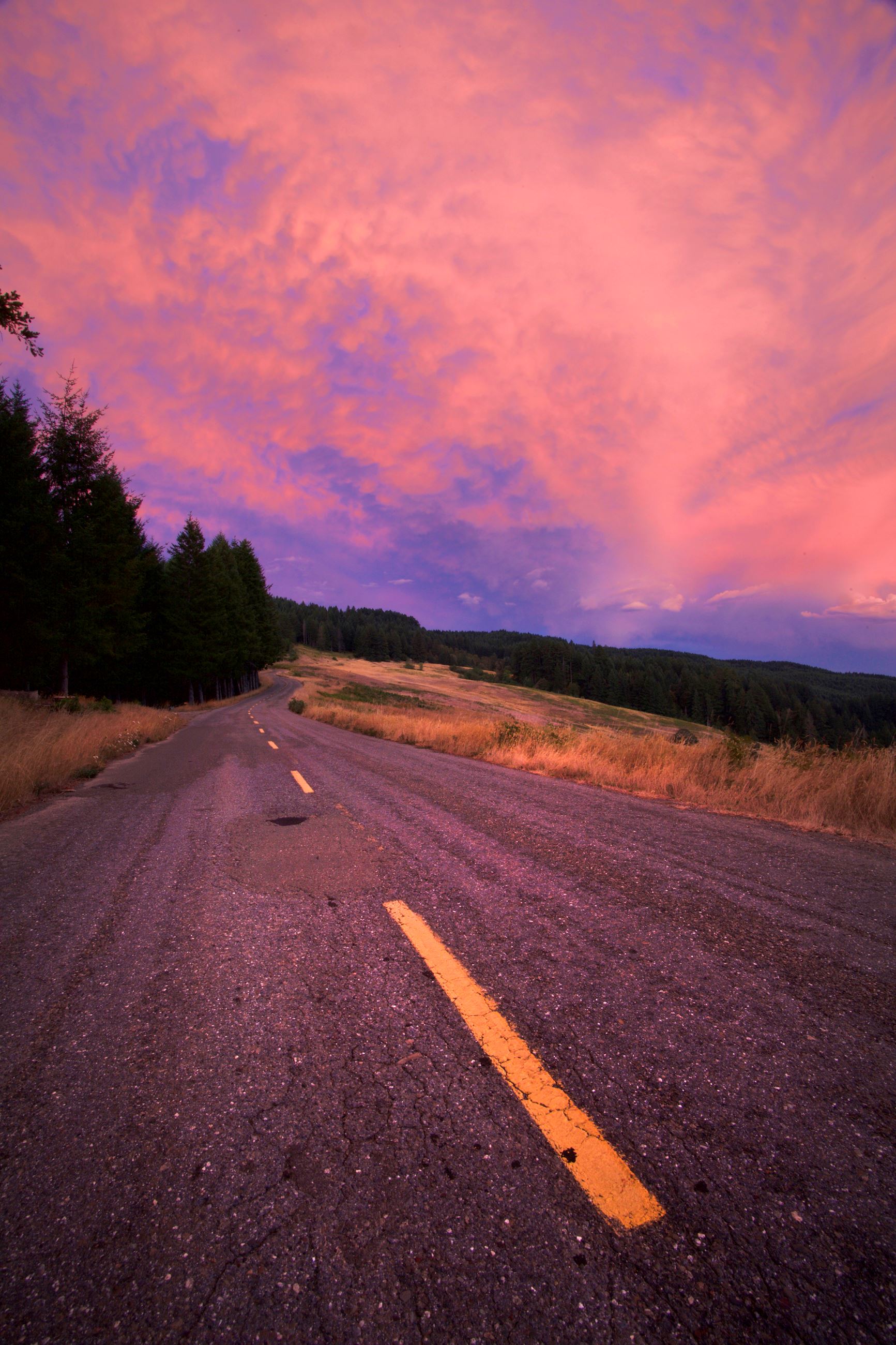 Bald Hills Road - Photo by Martin Swett
