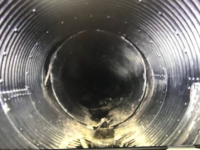 Briceland Thorne  from Video6 11_08_19