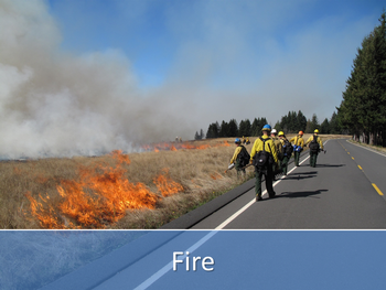 A controlled grass burn alongside road overseen by prescribed fire workers