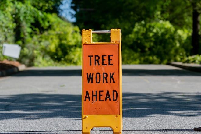 Tree Work Ahead Sign 