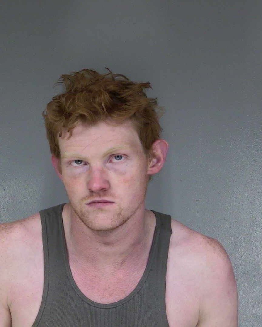 Previous booking photo of Stout