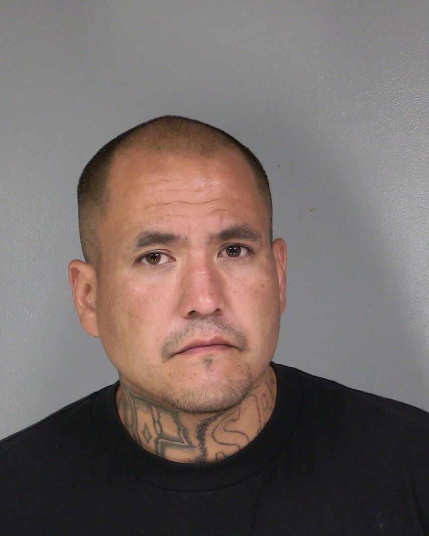 Maillelle Booking Photo