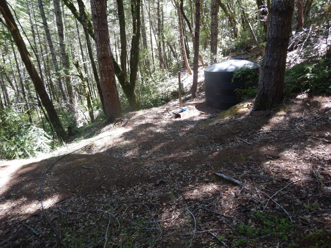Landing located near stream associated with water diversion and pumping for cannabis cultivation.
