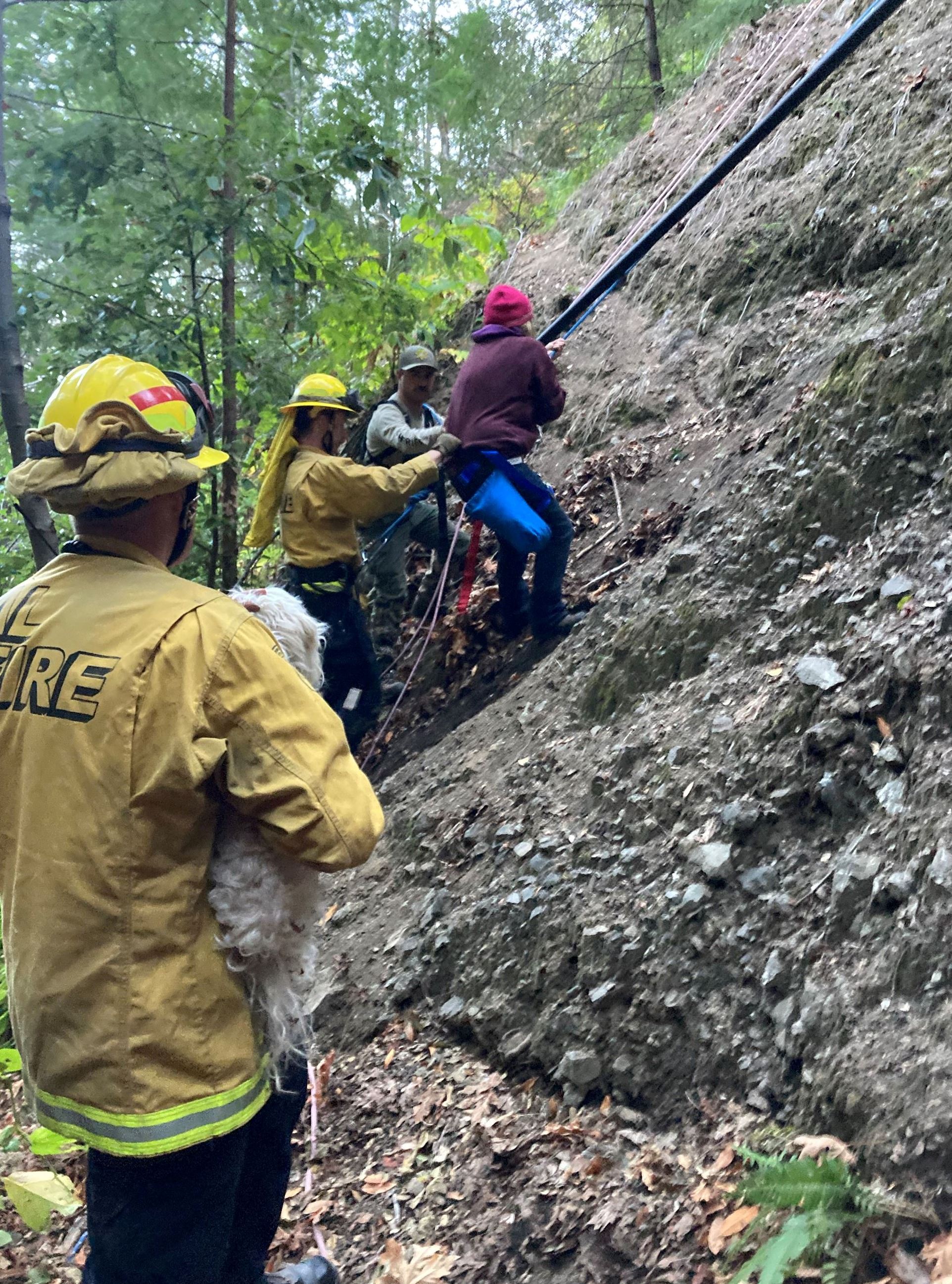 Search crews utilize a rope system to climb a steep drainage