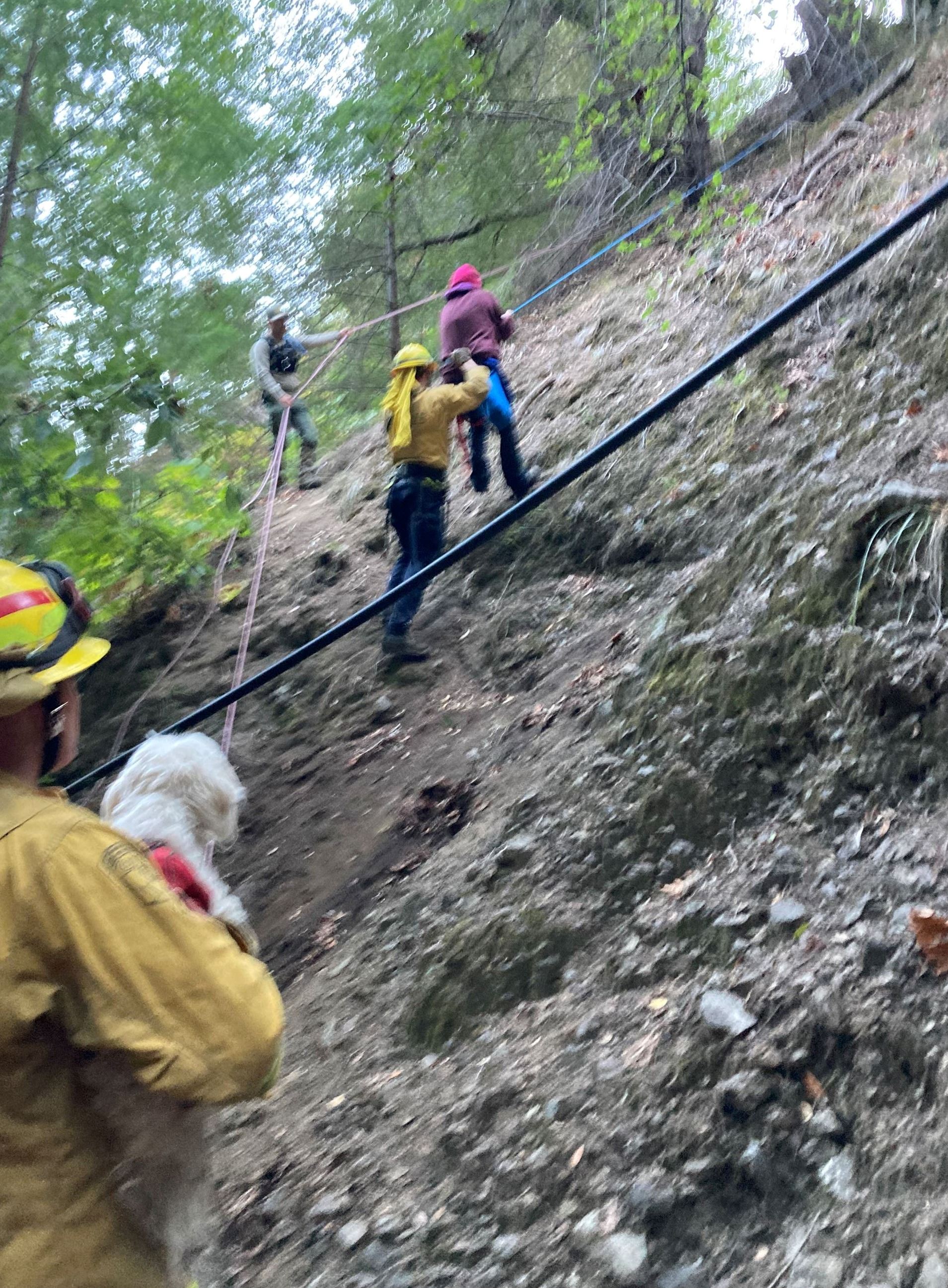 Search crews utilize a rope system to climb a steep drainage