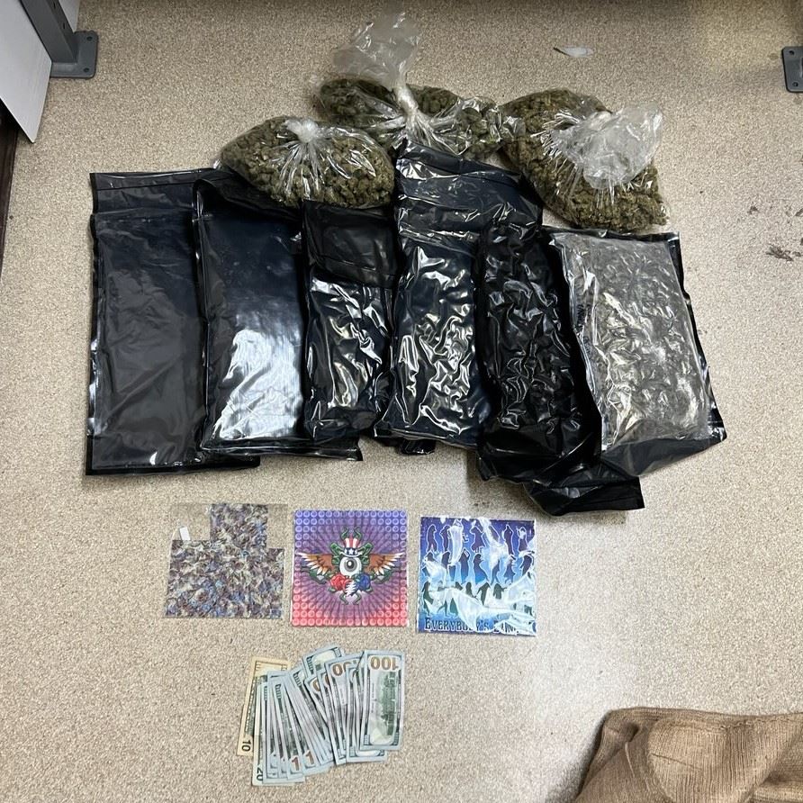 2400 LSD squares, 9 pounds of cannabis and cash 