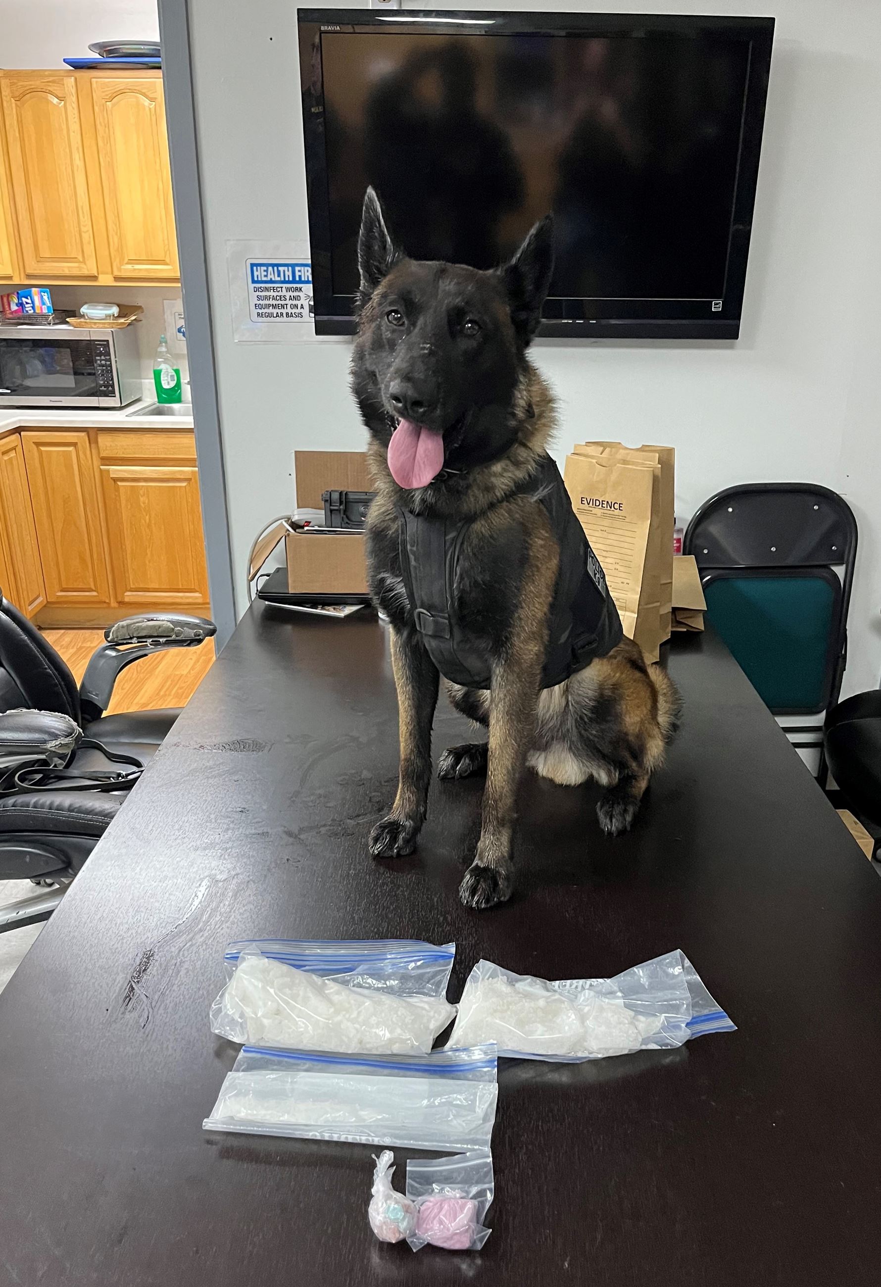 K9 Blitz with Fentanyl and Methamphetamine