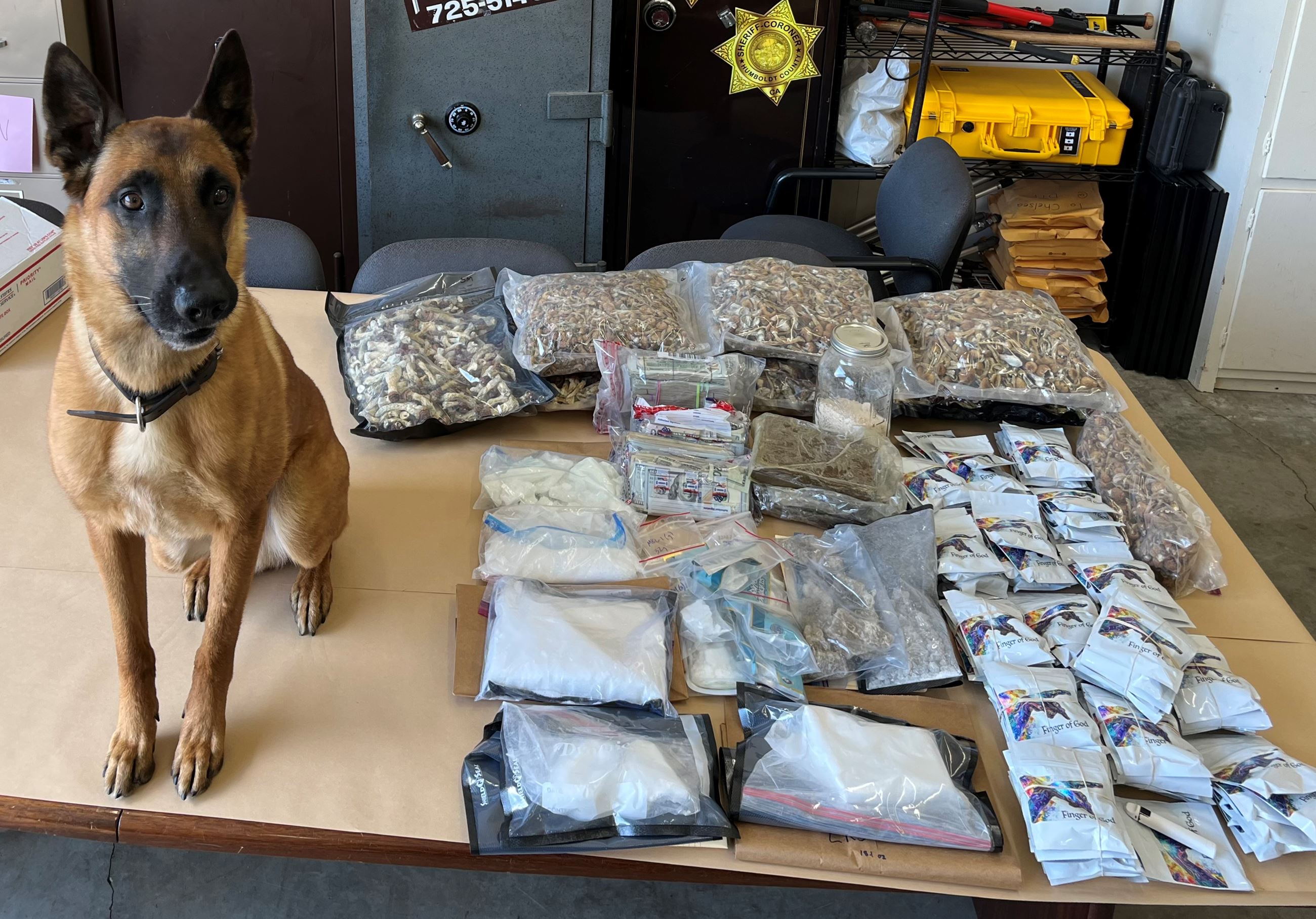 K9 Cain standing next to seized narcotics