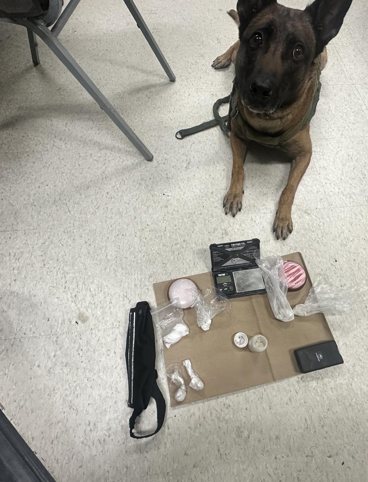 press release 202503319