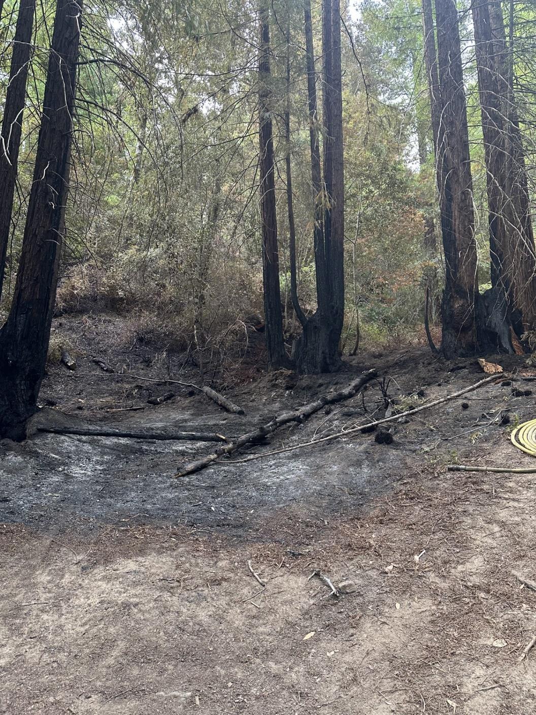 press release 202503242-Redway Fire 