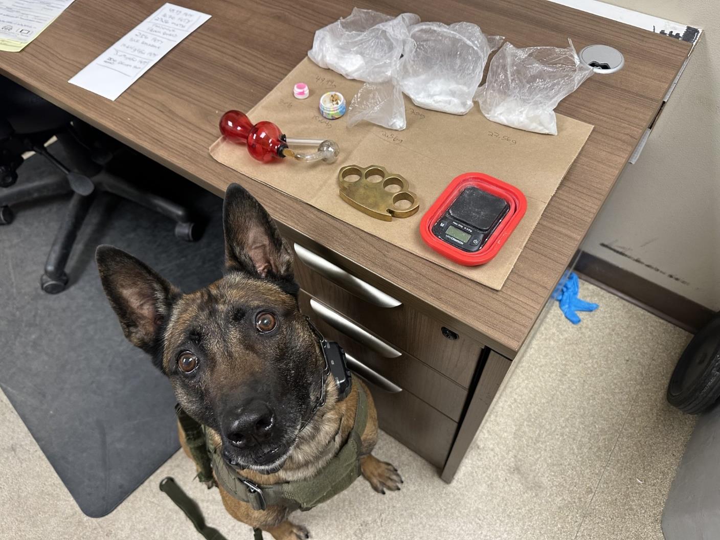 press release 202503517