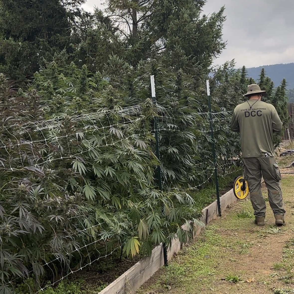 43509D9A-0AD0-4753-98EA-9C8761724443