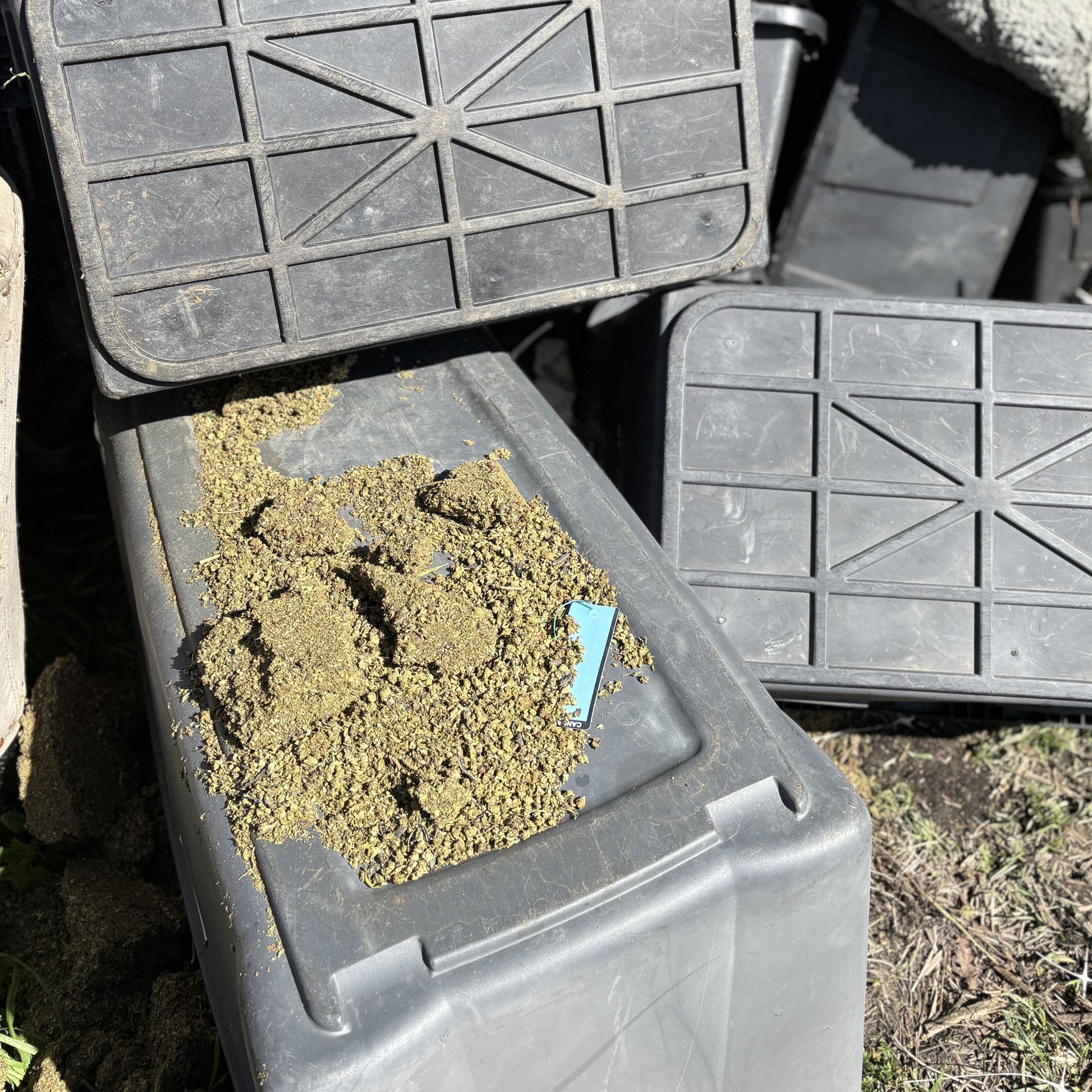 Black tote, processed cannabis, blue tag 