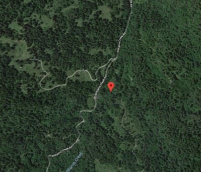 Williams Creek Road, Ferndale