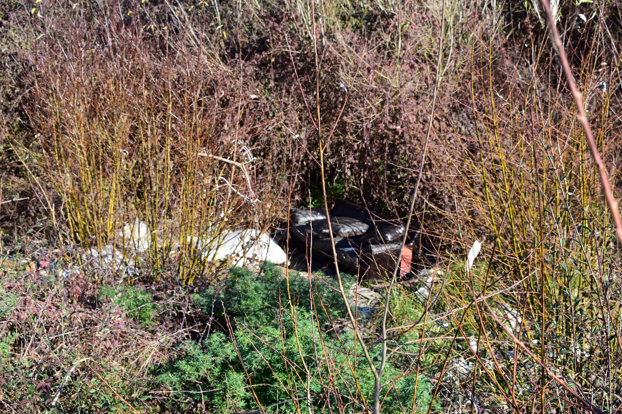 Wymore Road  01-30-2019 pic  (18)