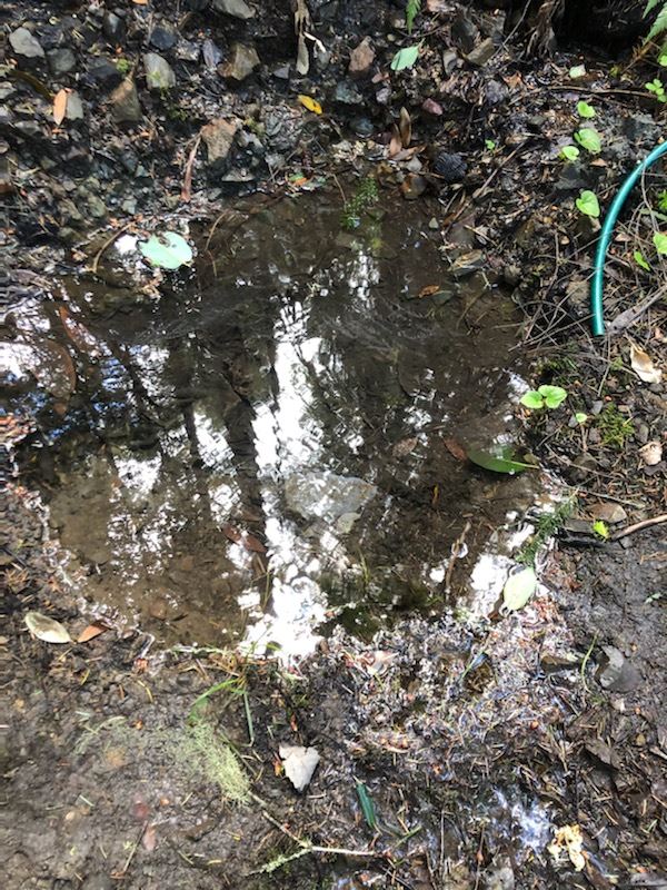 Water diversion observed on a rural property