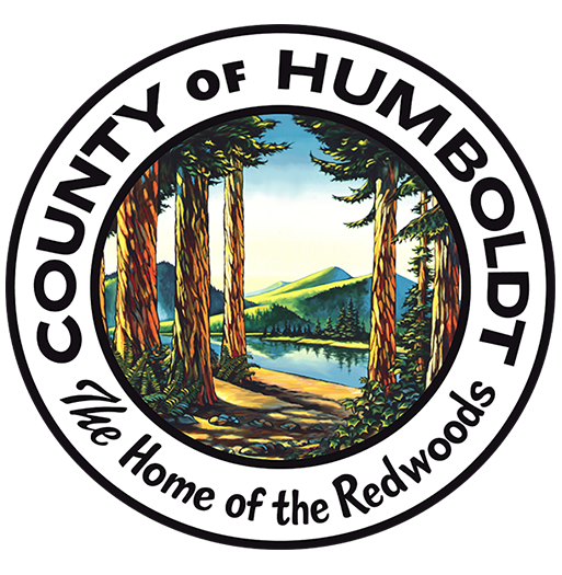 Website Logo 513x525 Trans 600