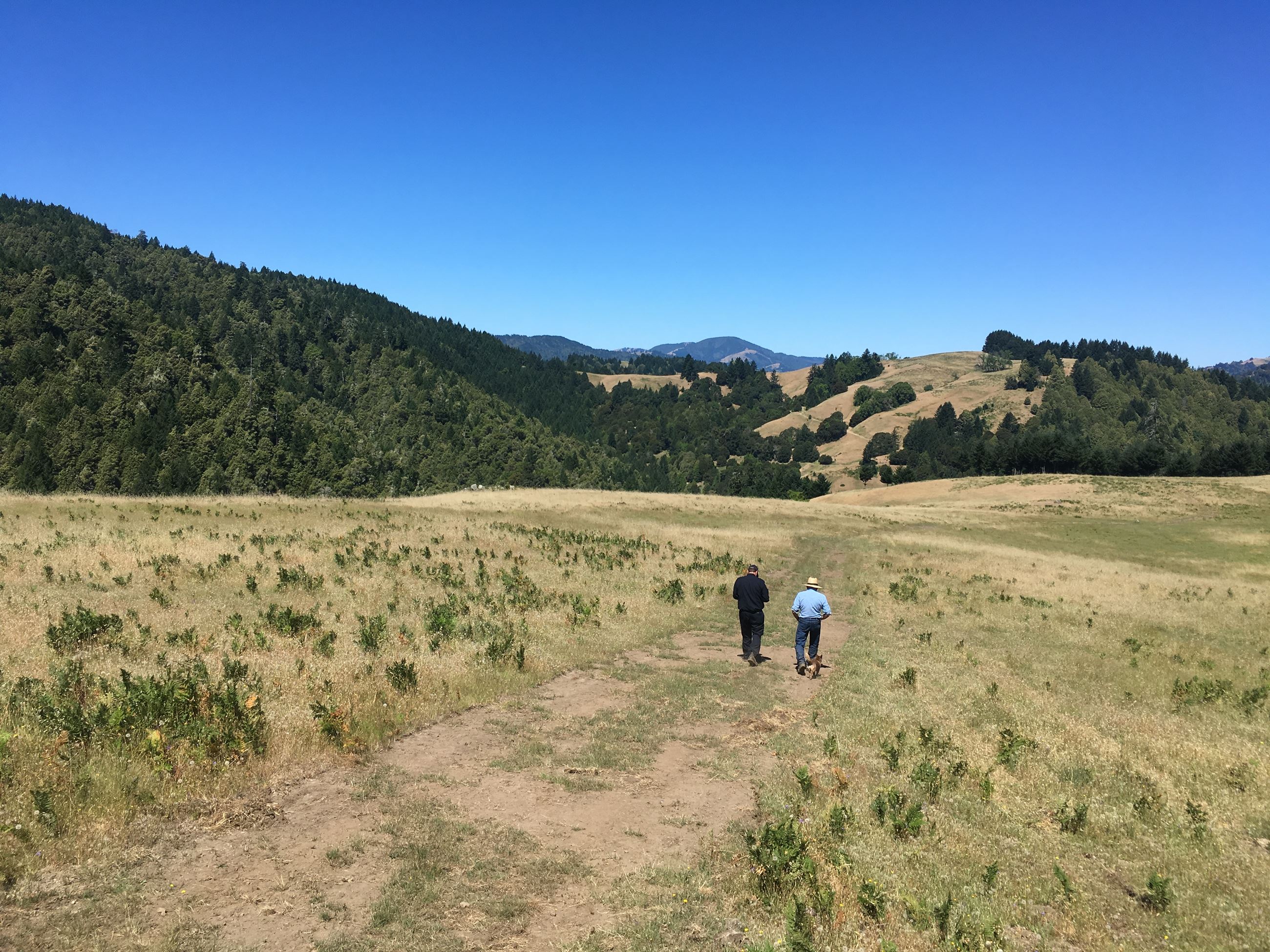 Prescribed burn assessment with So Hum landowner