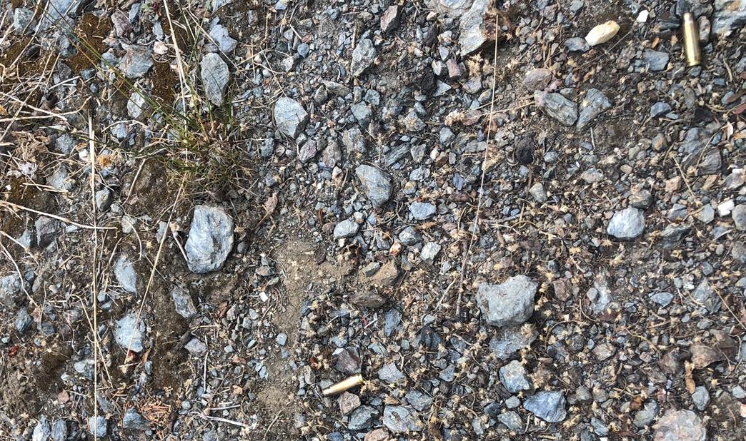 Spent shell casings on the ground