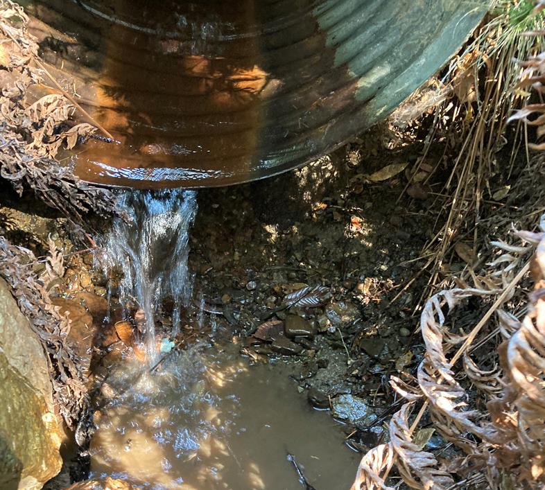 Diversion removed and water flowing